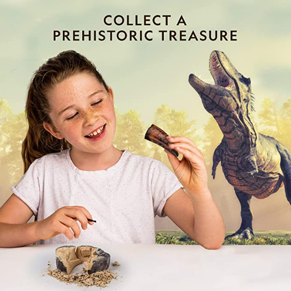 Dinosaur Dig Kit