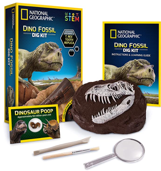 Fossil Excavation Kit