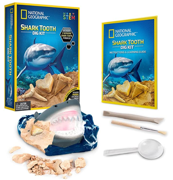 Shark Teeth Dig Kit